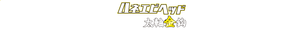 海太郎 ハネエビヘッド太軸金鈎のロゴ
